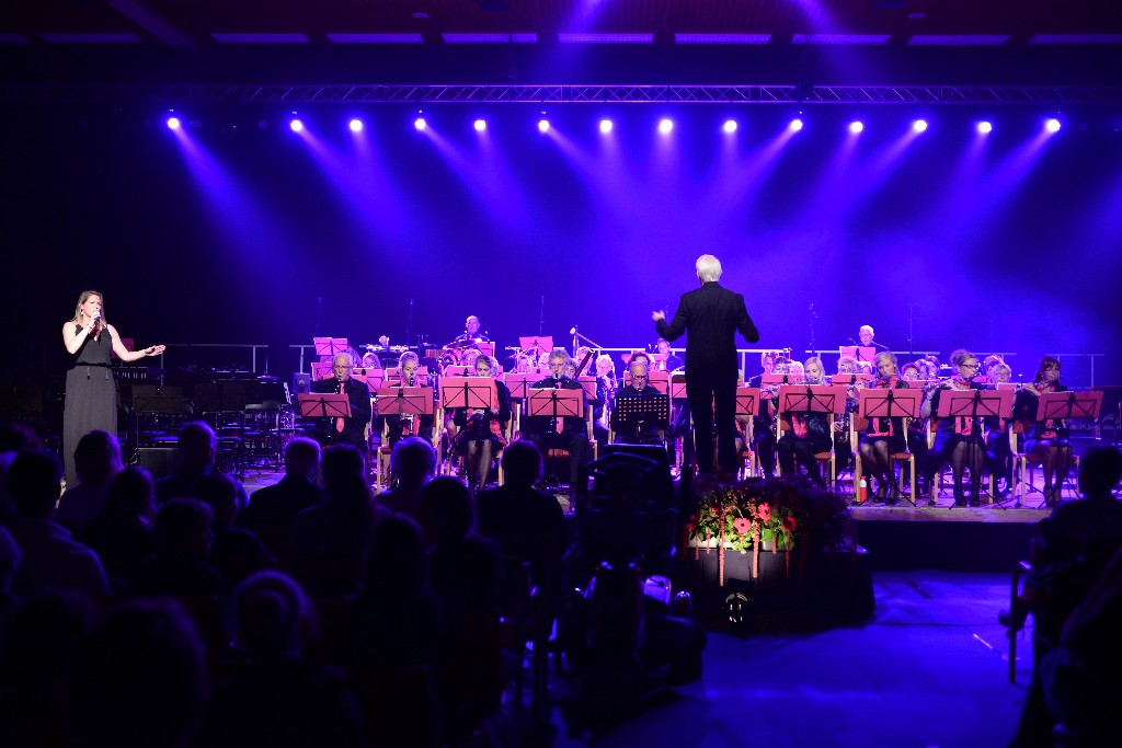 ../Images/Jubileumconcert 100 jaar Harpe Davids 070.jpg